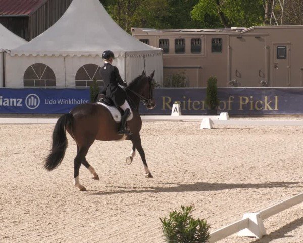 Reitturnier Karlsfeld/Obb. 2024