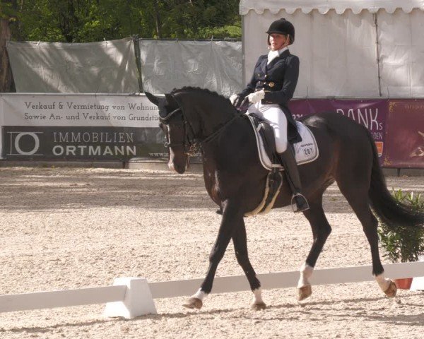 Reitturnier Karlsfeld/Obb. 2024