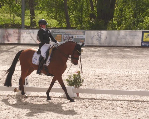 Reitturnier Karlsfeld/Obb. 2024