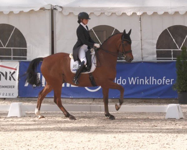 Reitturnier Karlsfeld/Obb. 2024