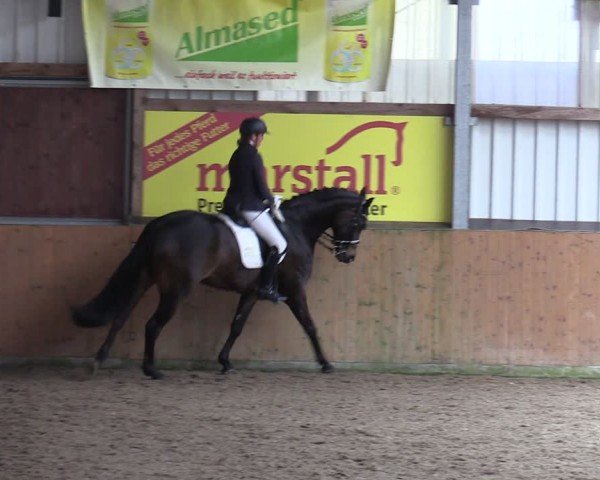 Reitturnier Schlieckau 2024