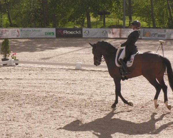 Reitturnier Karlsfeld/Obb. 2024
