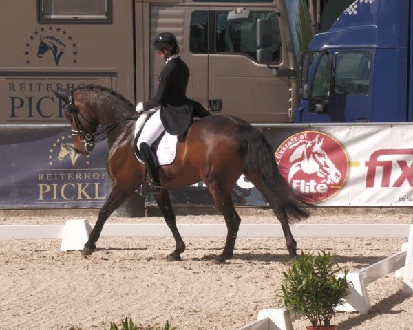 Reitturnier Karlsfeld/Obb. 2024