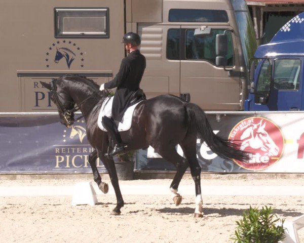 Reitturnier Karlsfeld/Obb. 2024
