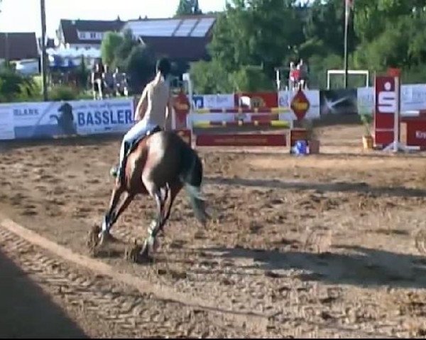 HORSE classics Killingen 2011
