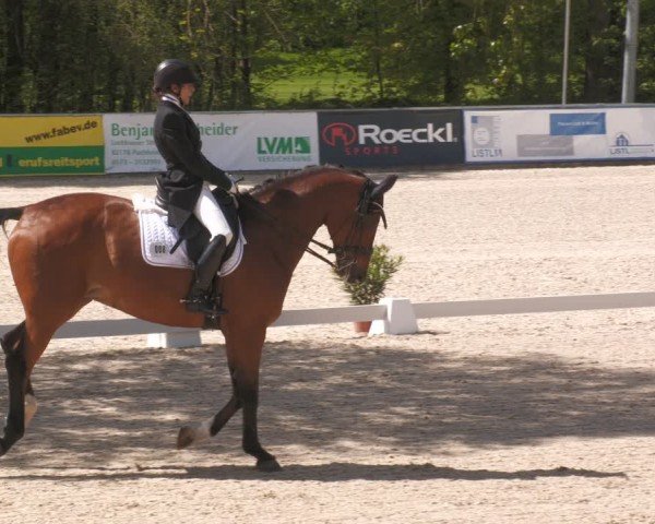 Reitturnier Karlsfeld/Obb. 2024