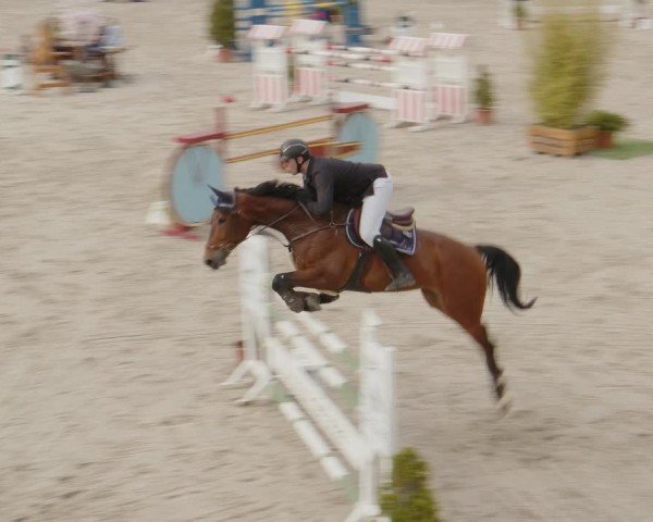 Reitturnier Monheim - Gut Blee 2024