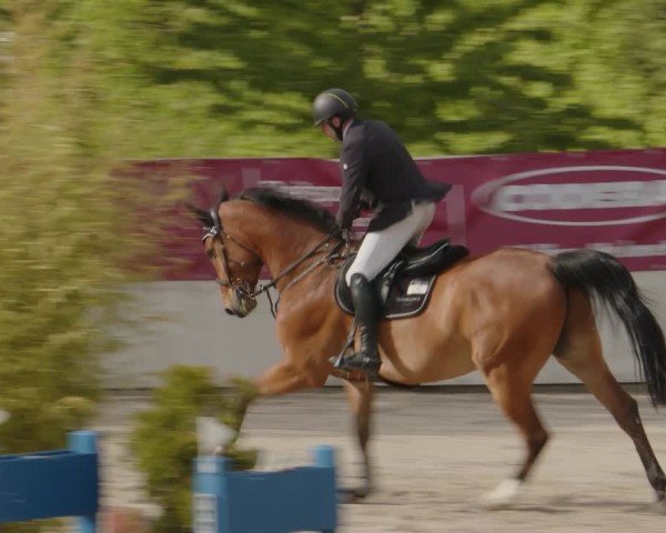 Reitturnier Monheim - Gut Blee 2024