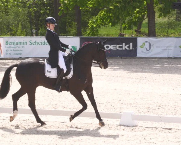 Reitturnier Karlsfeld/Obb. 2024