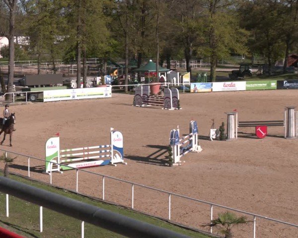 FEI Springturnier Stadl Paura 2024