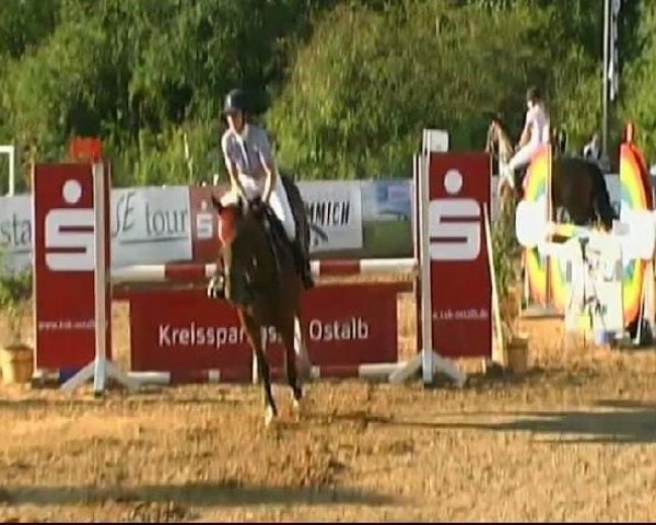HORSE classics Killingen 2011