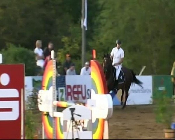HORSE classics Killingen 2011