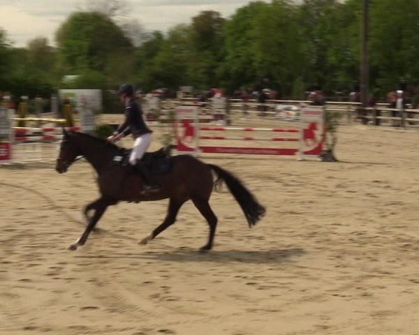 Reitturnier Nienberge 2024