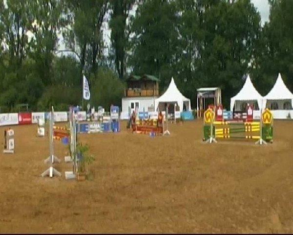 HORSE classics Killingen 2011