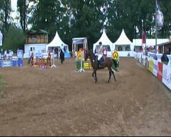 HORSE classics Killingen 2011