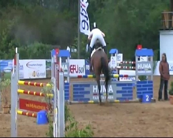 HORSE classics Killingen 2011