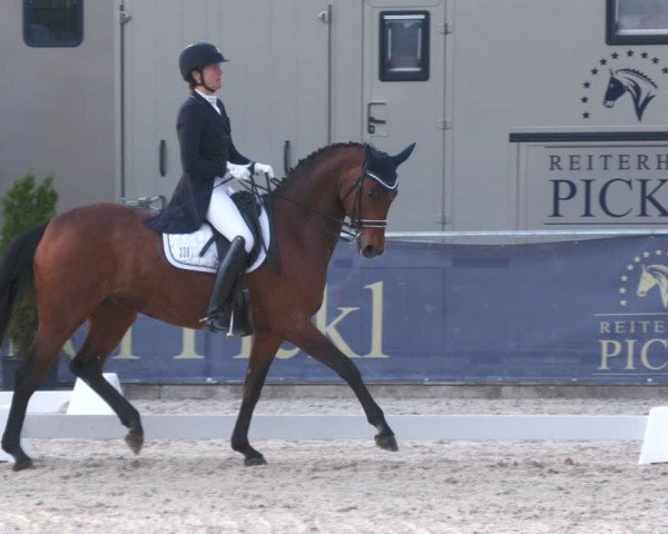 Reitturnier Karlsfeld/Obb. 2024