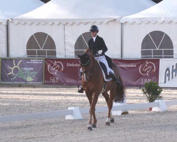 Reitturnier Karlsfeld/Obb. 2024