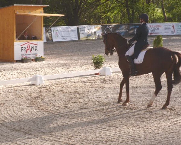 Reitturnier Karlsfeld/Obb. 2024