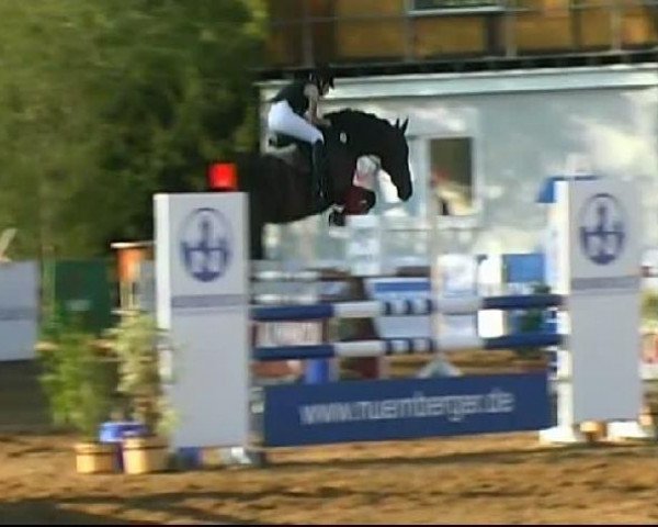 HORSE classics Killingen 2011