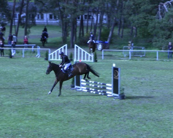 Reitturnier Colbitz 2024