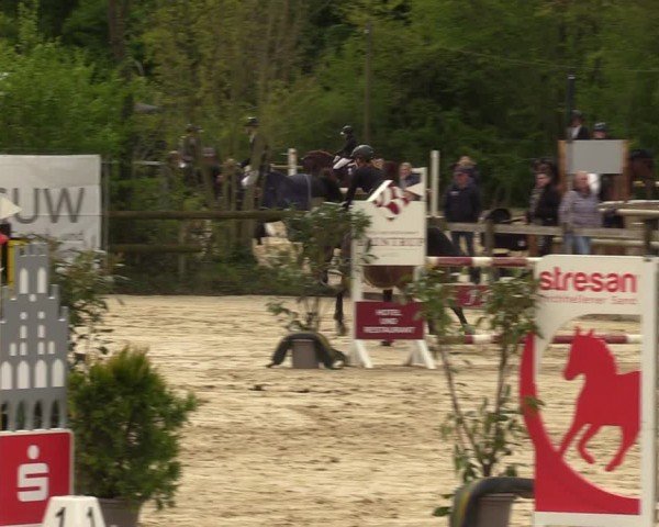 Reitturnier Nienberge 2024
