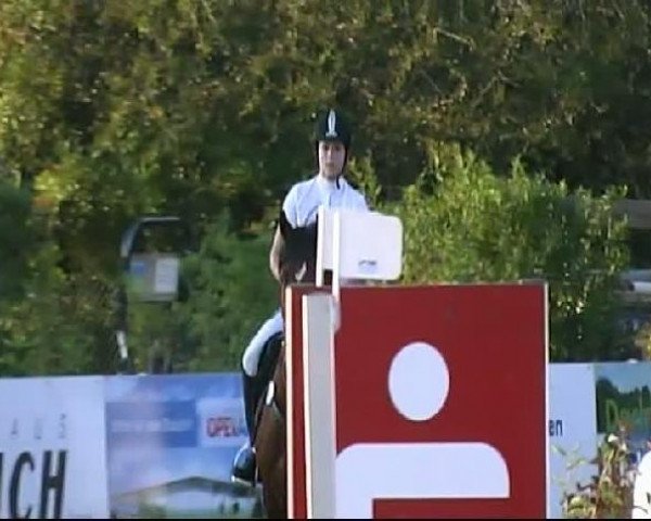 HORSE classics Killingen 2011