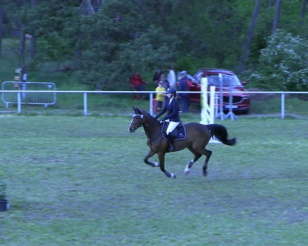 Reitturnier Colbitz 2024