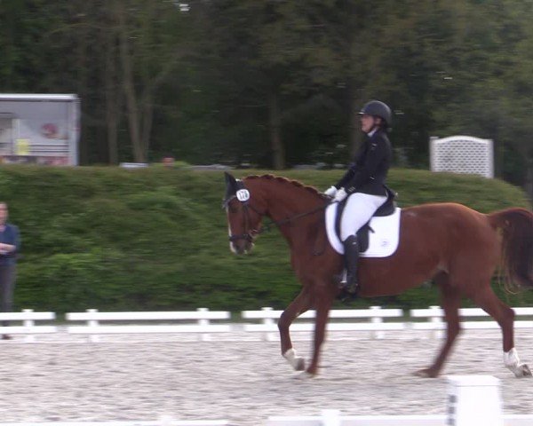 Reitturnier Pietzpuhl 2024