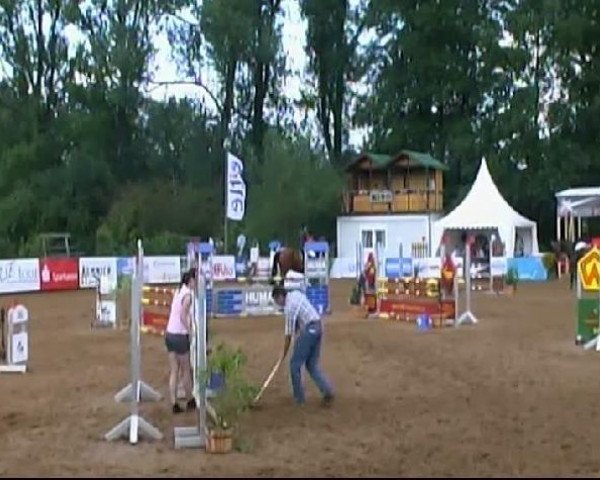 HORSE classics Killingen 2011