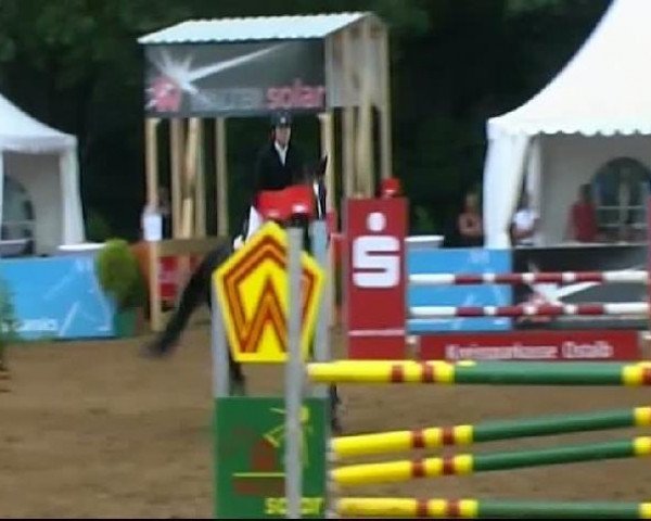 HORSE classics Killingen 2011