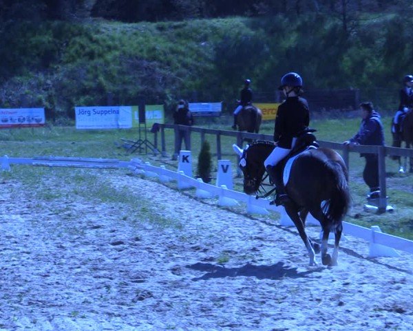 Reitturnier Colbitz 2024