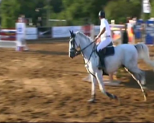 HORSE classics Killingen 2011