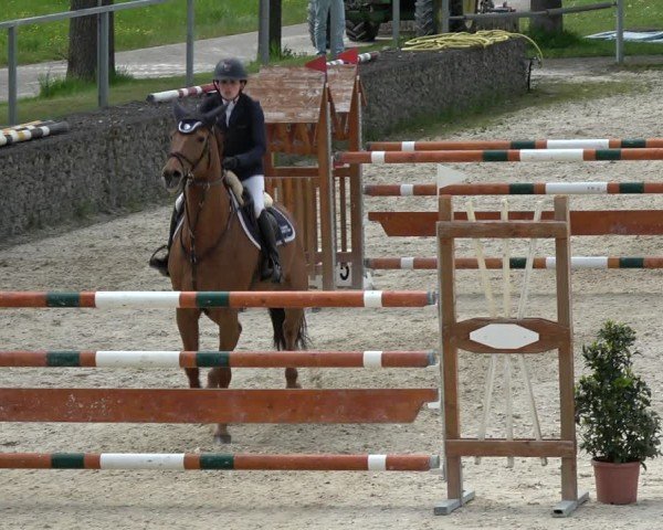 Reitturnier Ingolstadt-Hagau/Obb. 2024