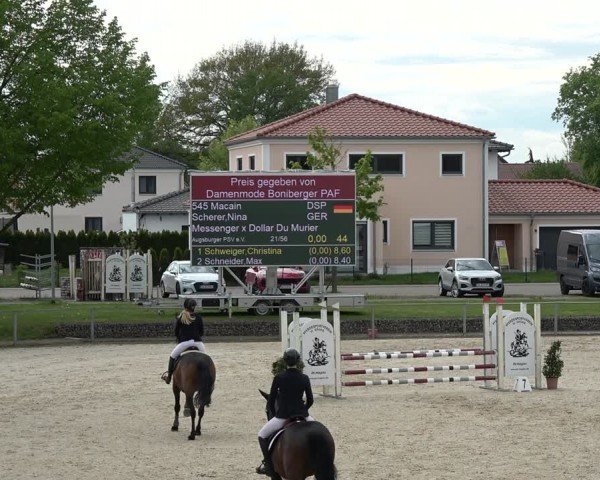 Reitturnier Ingolstadt-Hagau/Obb. 2024