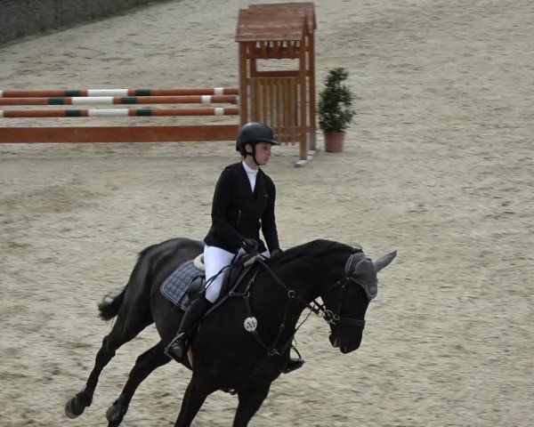 Reitturnier Ingolstadt-Hagau/Obb. 2024