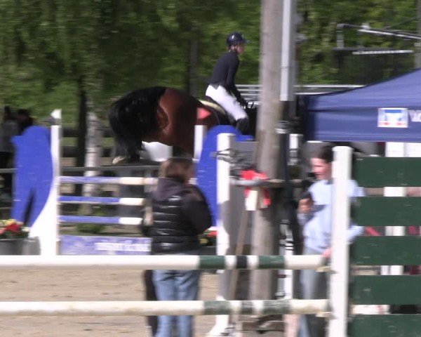 Reitturnier Olfen-Vinnum 2024