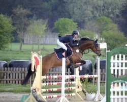 jumper Lia Lotte (Holsteiner, 2018, from Canstakko)