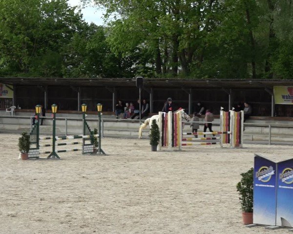 Reitturnier Ingolstadt-Hagau/Obb. 2024