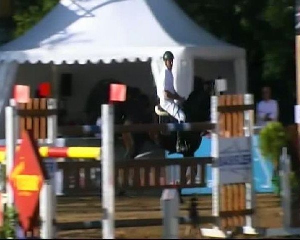 HORSE classics Killingen 2011