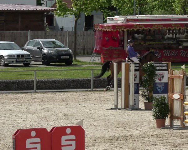 Reitturnier Ingolstadt-Hagau/Obb. 2024
