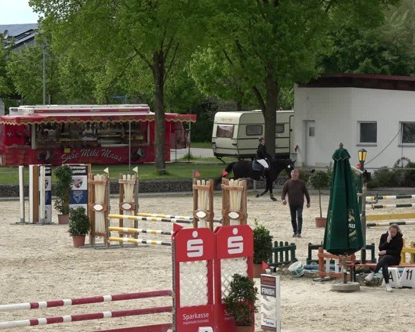 Reitturnier Ingolstadt-Hagau/Obb. 2024