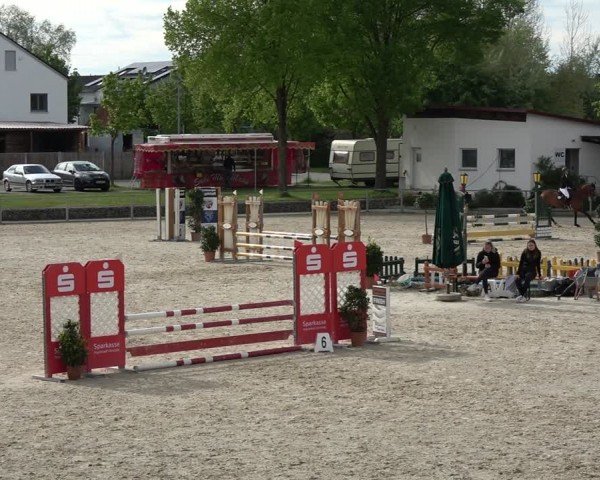 Reitturnier Ingolstadt-Hagau/Obb. 2024