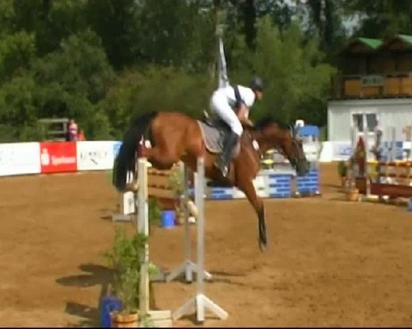 HORSE classics Killingen 2011