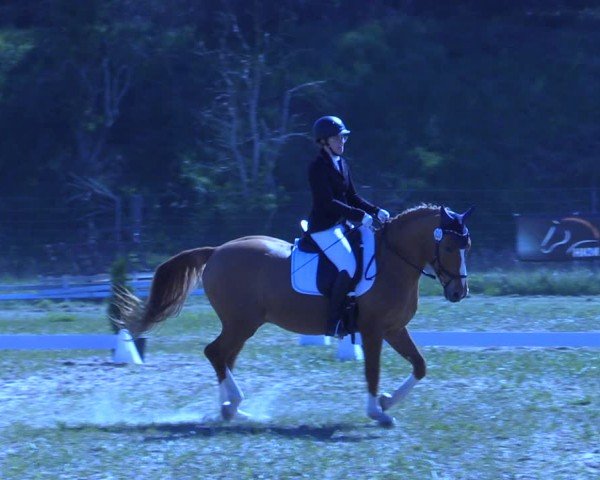 Reitturnier Colbitz 2024