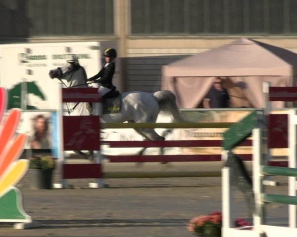 Reitturnier Olfen-Vinnum 2024