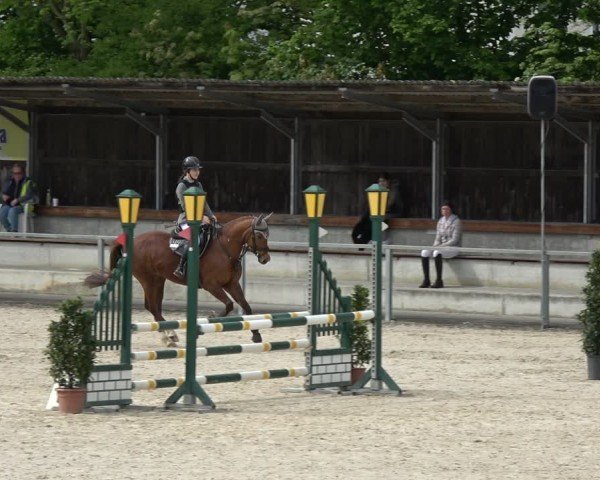 Reitturnier Ingolstadt-Hagau/Obb. 2024