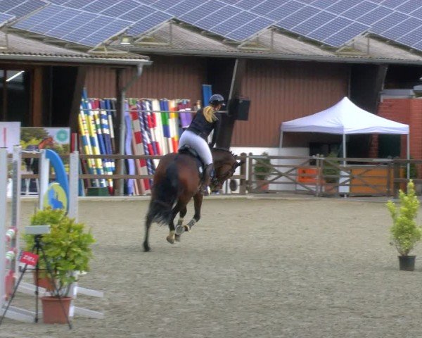 Reitturnier Heiden 2024