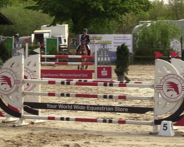 Reitturnier Nienberge 2024