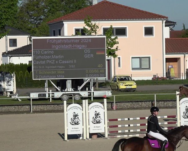 Reitturnier Ingolstadt-Hagau/Obb. 2024